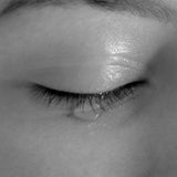 The Inner Path Journey